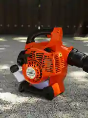 Бензиновая садовая воздуходувка/ветродуйка ELECTROLITE EBV 280 650 куб.м/ч, 1,1 л.с