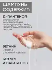 Подарочный набор ULAB: профессиональный шампунь и несмываемый спрей для всех типов волос