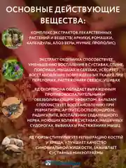 Гель- бальзам Бубновский  №6 для суставов Змея и скорпион, 125мл