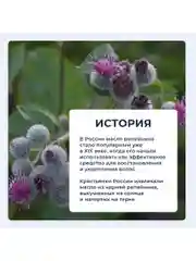 Шампунь Здоровье без переплаты Мумие с репейным маслом против выпадения волос, 250мл