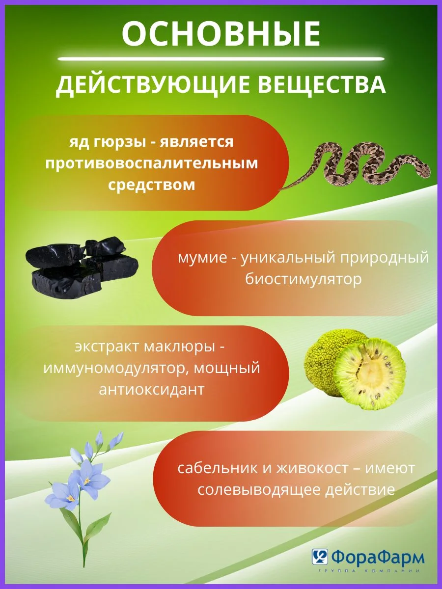 Крем для суставов Маклюра, змеиный яд, мумие, 125мл