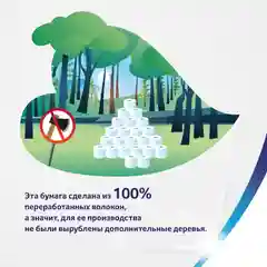 Туалетная бумага Zewa Natural comfort, без аромата, 3 слоя, 12 рулонов