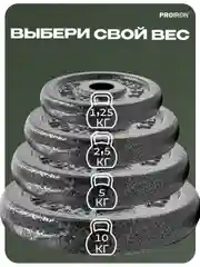 Блины для штанги, гантели, PROIRON, 1,25 кг, набор 4 шт