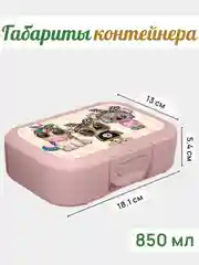 Конфетный ланч-бокс, контейнер для еды - в школу в ассортименте 0,8 мл, 1 шт