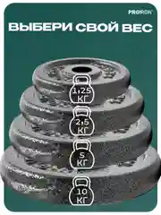 Блины для штанги, гантели, PROIRON, 10 кг, набор 2 шт