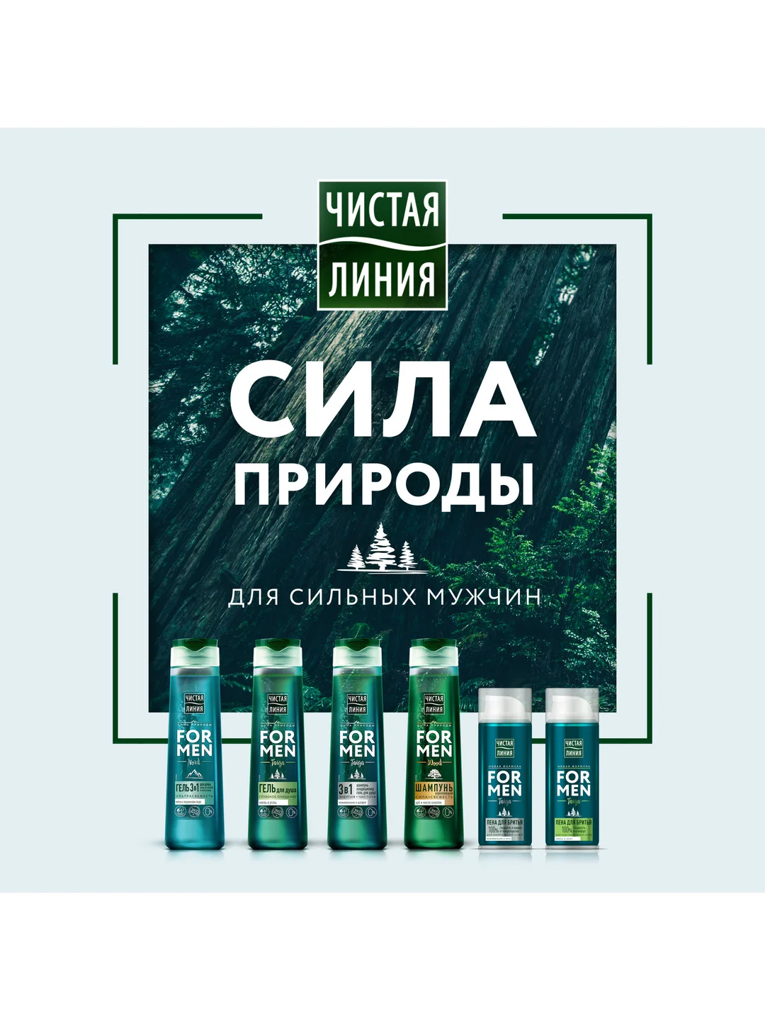 FOR MEN шампунь укрепляющий wood сила и cвежесть  400 мл