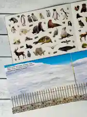 Развивающая книжка с наклейками задания малышам 250 наклеек стикеры наклейки Зоопарк Звери