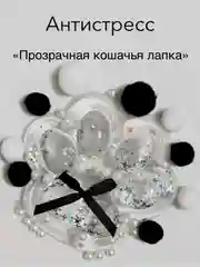 Прозрачный игрушки антистресс сквиш лапка Кошачья/таба лапа большая, котик/капибара/куроми/орео/хомяк