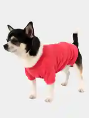 Футболка трикотажная для собак и кошек