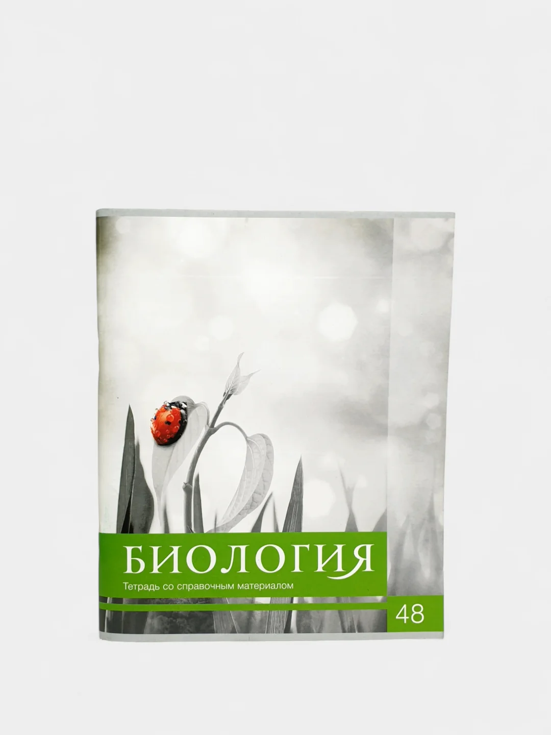 Лайм тетрадь предметная, общая "Чёрное-белое", 48 л, со справочным материалом, серые листы
