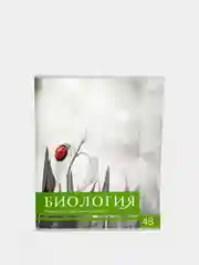 Лайм тетрадь предметная, общая "Чёрное-белое", 48 л, со справочным материалом, серые листы