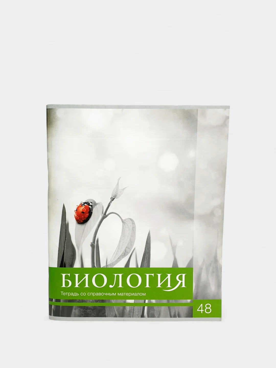 Лайм тетрадь предметная, общая "Чёрное-белое", 48 л, со справочным материалом, серые листы