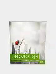 Лайм тетрадь предметная, общая "Чёрное-белое", 48 л, со справочным материалом, серые листы