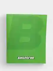 Лайм тетрадь предметная, общая 36 листов, со справочным материалом, серые листы