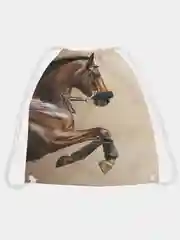 Сумка мешок для обуви "Смелая лошадь" 38x40 (bpa16153)