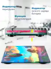 Электронные весы ENDEVER AURORA-551