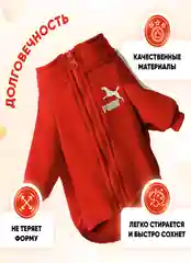 Красный толстовка для кошек и собак, модная одежда для животных на молнии