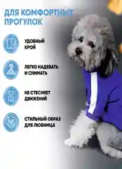 Красный толстовка для кошек и собак, модная одежда для животных на молнии