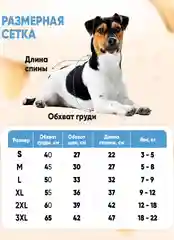 Красный толстовка для кошек и собак, модная одежда для животных на молнии