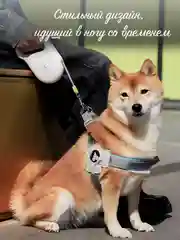 Слоновая кость поводок-рулетка для собак, кошек до 30 кг, 5 метров с фиксатором, стоппером и фонариком