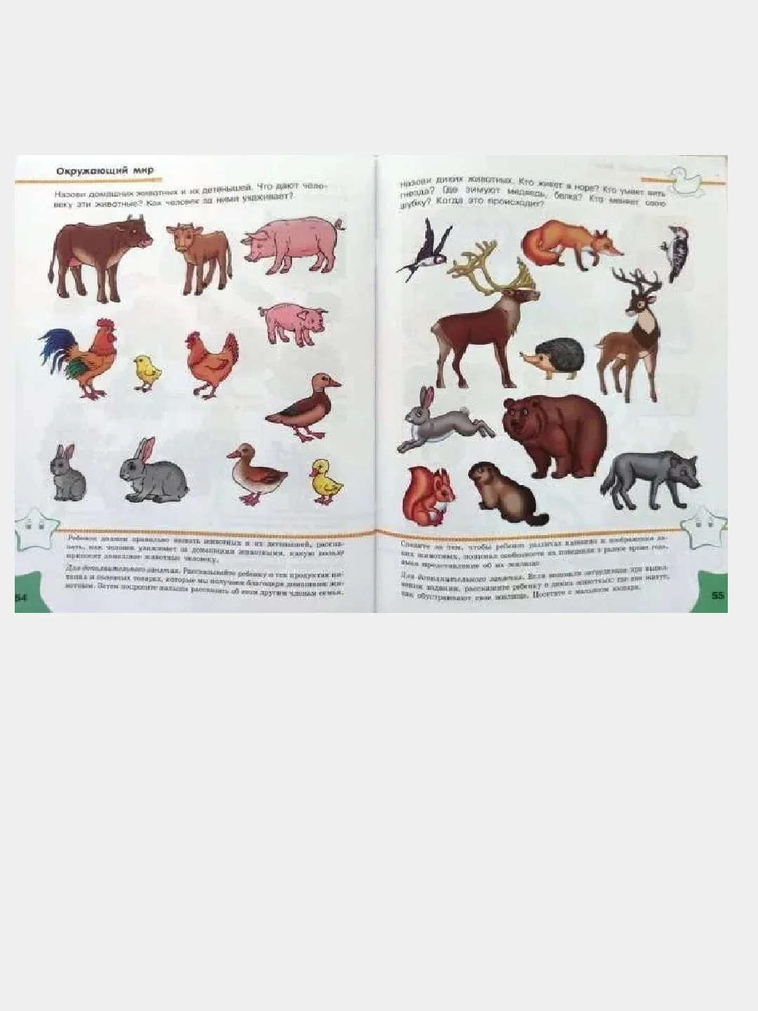 Обучалочка Тесты (F) - Сборник заданий 4-5 лет