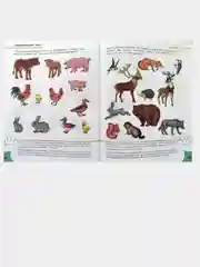 Обучалочка Тесты (F) - Сборник заданий 4-5 лет