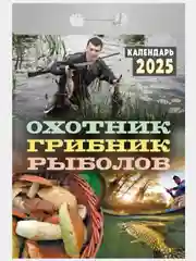 Желтый календарь настенный отрывной на 2025 год 28 видов