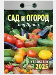 Золотистый хаки календарь настенный отрывной на 2025 год 28 видов