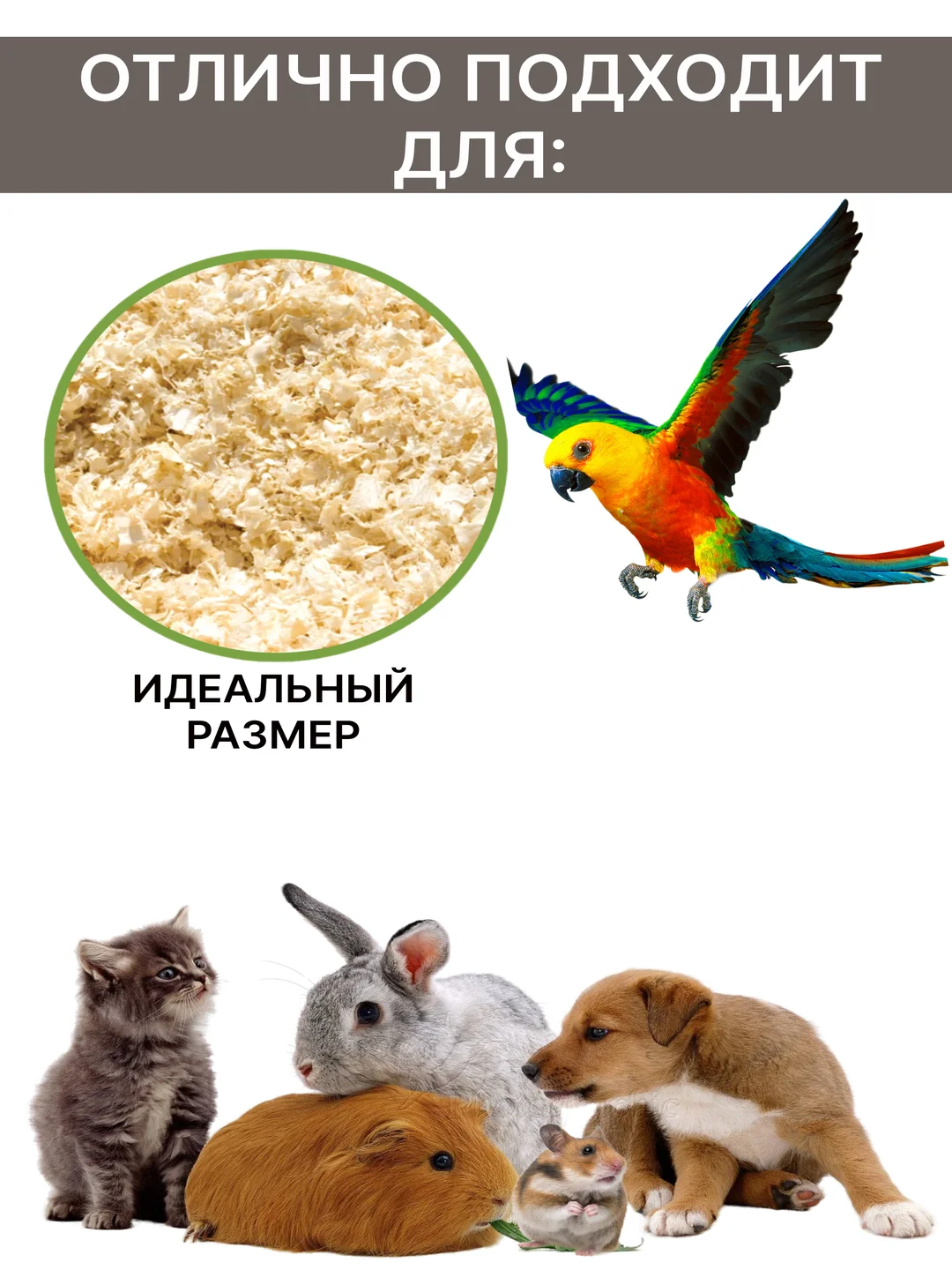 Опилки для грызунов, 850 гр