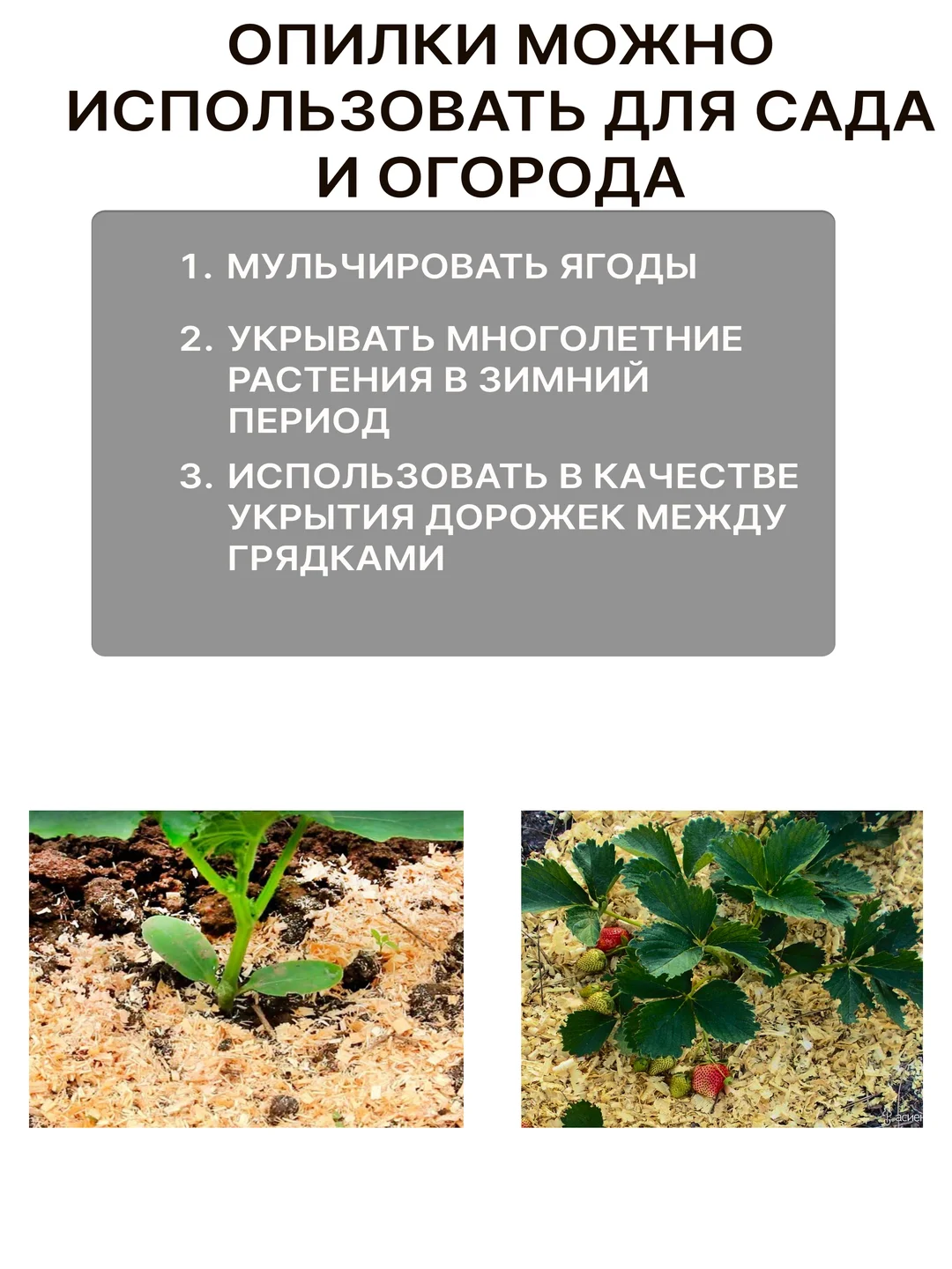 Опилки для грызунов, 850 гр
