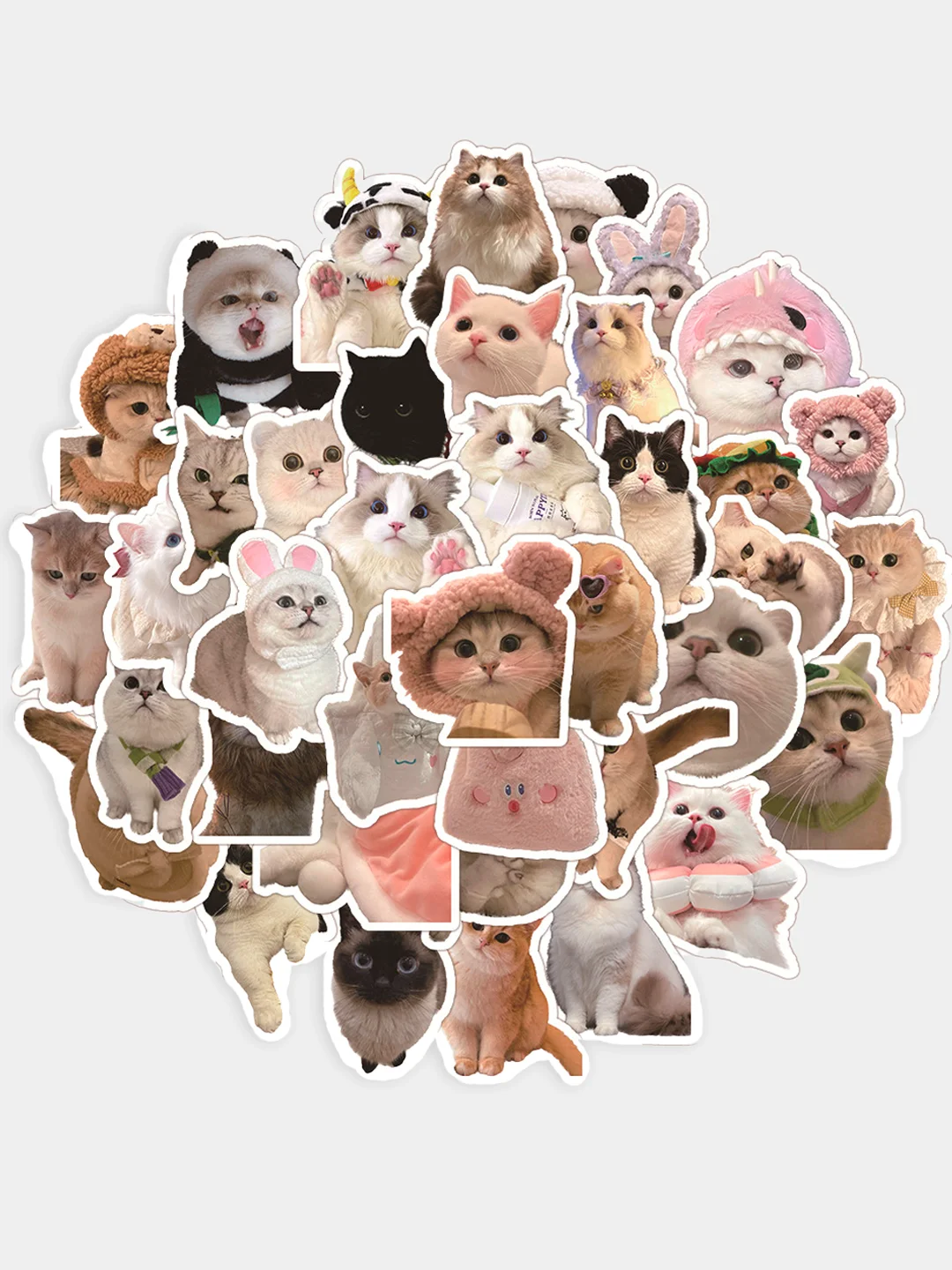Песочный хаки стикеры "Капибара", "Котики", "Кот-акула", 50 штук