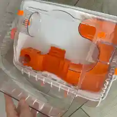 Клетка для хомяка,  2 этажа, 48 х 35 х 25см С офисом, колесом d12cм, поилкой, туннелем