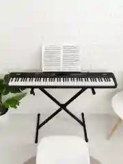 Черный цифровое пианино-синтезатор ON Maestro, MIDI, 88 клавиш (компактные), черный