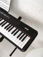Черный цифровое пианино-синтезатор ON Maestro, MIDI, 88 клавиш (компактные), черный