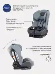 Серый автокресло Fiesta City Line (гр.0-1-2/0-25кг.)