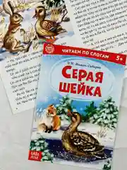 Детская книга Книжка 6 шт Читаем по слогам для детей Стихи Сказки Рассказ учимся читать