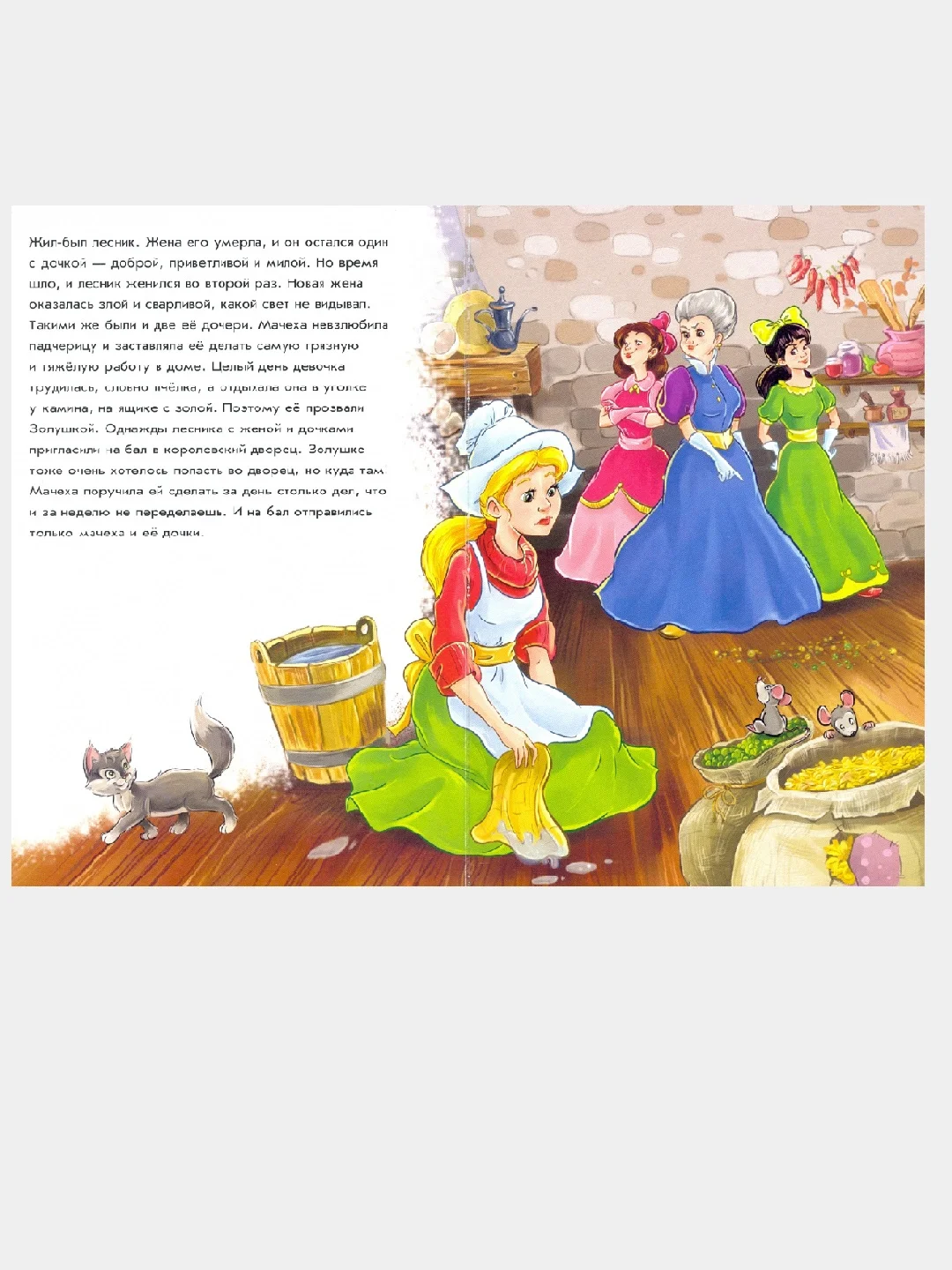 Оранжевые книжки (F) - Золушка