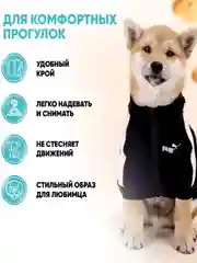 Черный толстовка для кошек и собак, модная одежда для животных на молнии