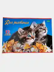 Коричневый альбом для рисования, 12 листов