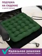 Зеленый подушка ортопедическая Bio-Line, на компьютерный стул, с гречневой лузгой, 40 х 40 см
