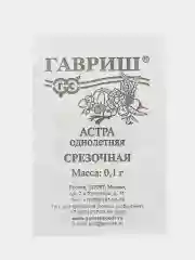 Багровый астра, семена