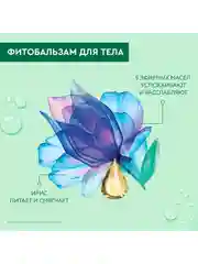 Фитобальзам для тела Чистая линия, Повышающий упругость, 200 мл