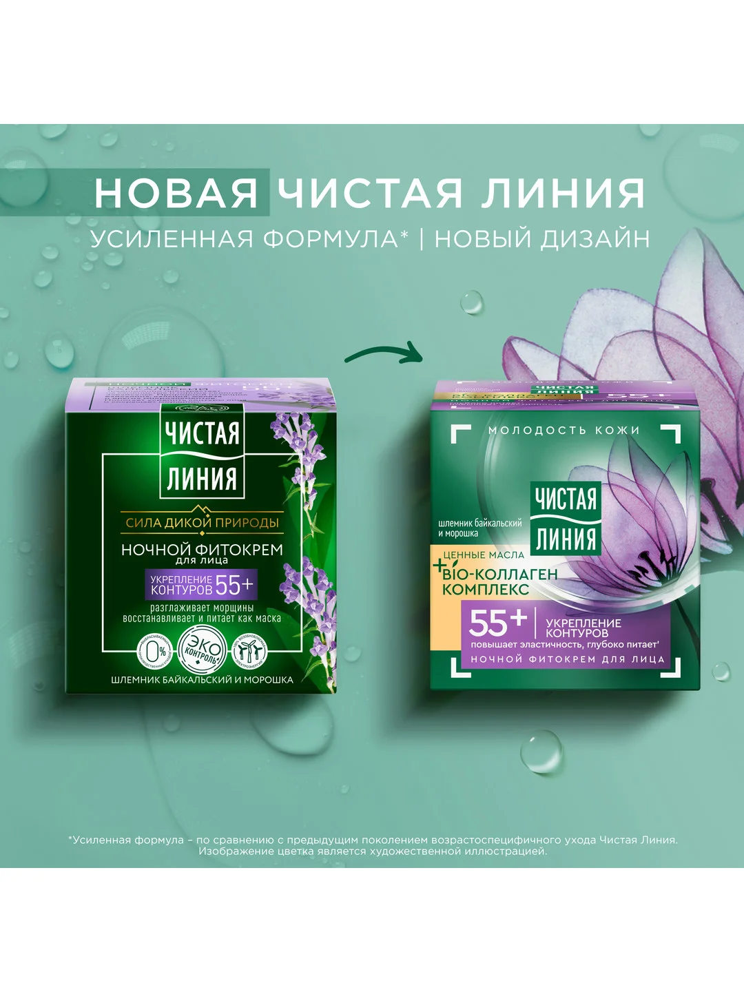 Фито-крем для лица ночной Чистая линия "Укрепление контуров", 55+, шлемник и морошка, 45мл