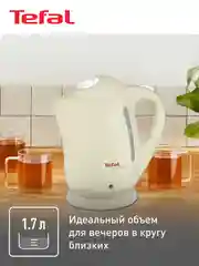 Электрический чайник Tefal Silver Ion BF925232