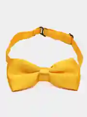 Желтый галстук-бабочка