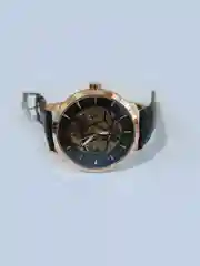 Часы механические мужские TEVISE GOLD скелетоны с автоподзаводом, водостойкие
