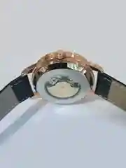 Часы механические мужские TEVISE GOLD скелетоны с автоподзаводом, водостойкие
