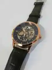 Часы механические мужские TEVISE GOLD скелетоны с автоподзаводом, водостойкие