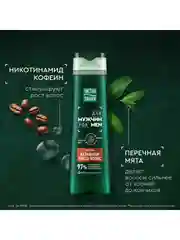 Шампунь Чистая Линия Men "Активатор роста волос", с перечной мятой и кофеином, 400 мл