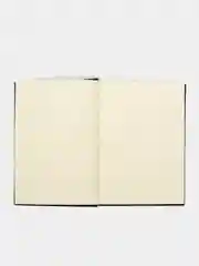 Скетчбук-блокнот для рисования эскизов,100г/м2,148х210 мм,110 листов, Brauberg ART Classic